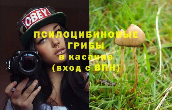 винт Козельск