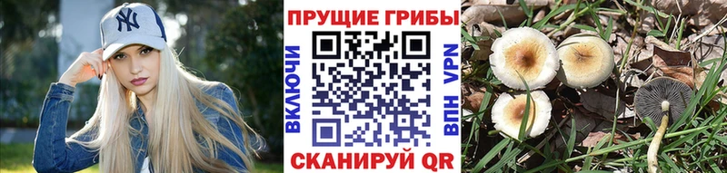 наркотики  Приволжский  Псилоцибиновые грибы мухоморы 