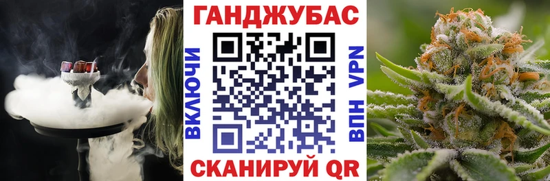 Канабис конопля  Приволжский 
